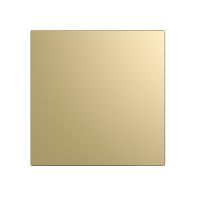 Декоративная панель для вентиляторов AEON DiCiTi D100/125 (PA4/5 Champagne)  Декоративная панель для вентиляторов AEON DiCiTi D100/125 (PA4/5 Champagne)