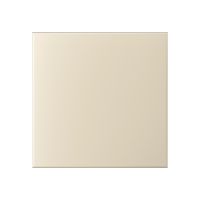 Декоративная панель для вентиляторов AEON DiCiTi D100/125 (PA4/5 Ivory)  Декоративная панель для вентиляторов AEON DiCiTi D100/125 (PA4/5 Ivory)