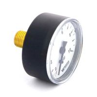 Манометр аксиальный Watts F+R100